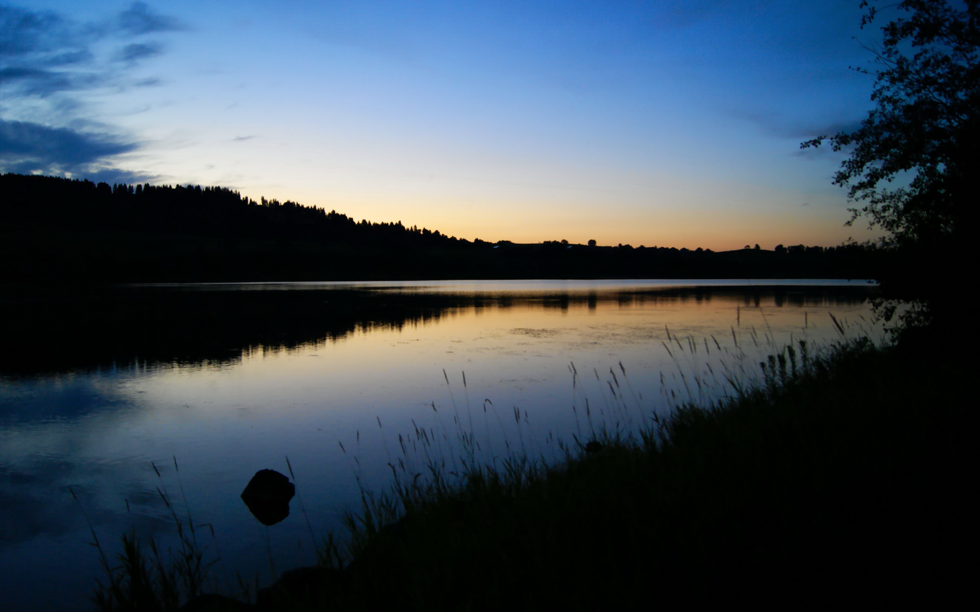 雷火电竞app-龙吟浦江，当多伦多的寒铁，击穿上海的丝绸