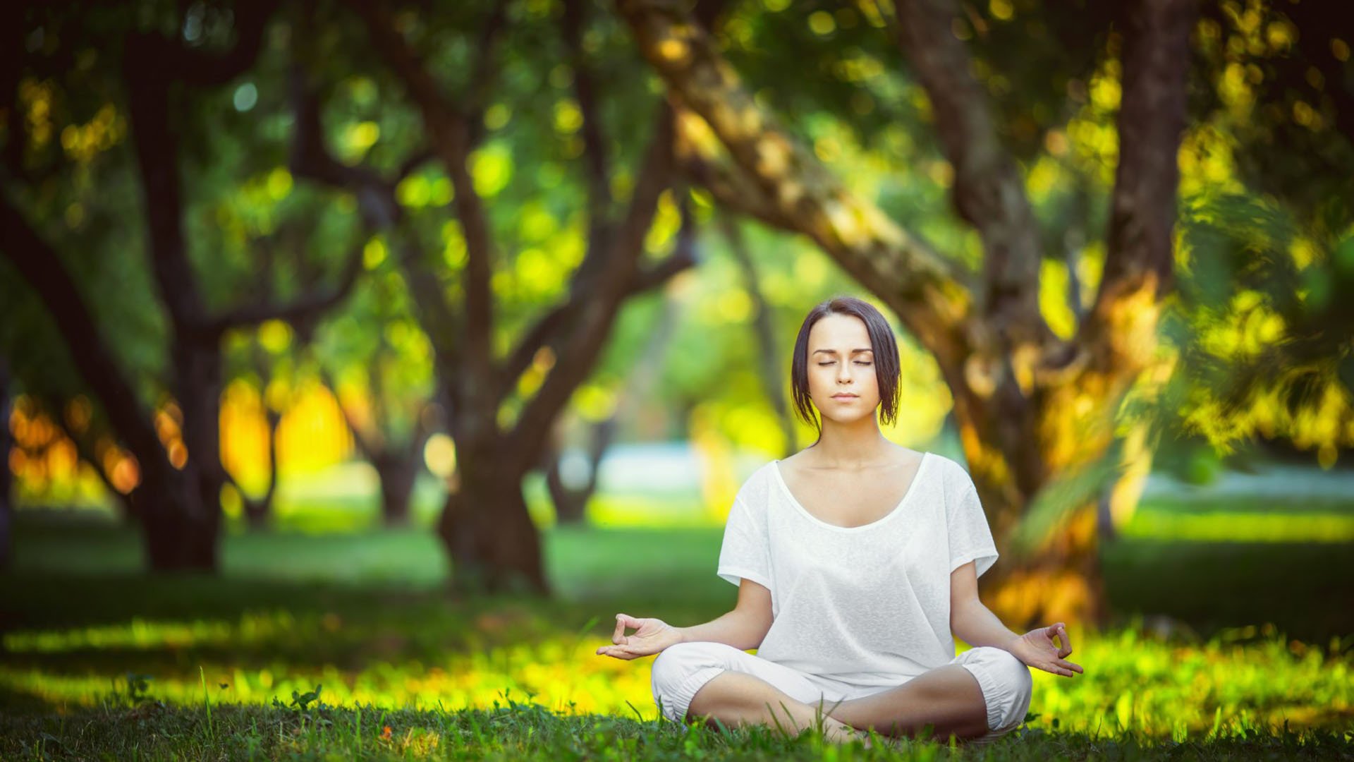 绝杀之夜,2026世界杯C组生死战,奥地利用钢铁意志撕碎罗马尼亚,福登领衔英格兰强势突围