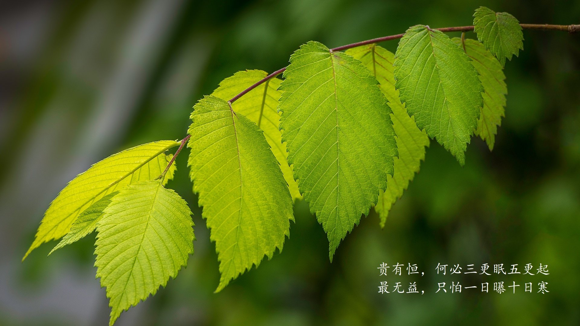 雷火电竞网站-唯一之战，当北欧海盗踏平地中海，莫德里奇谱写的独奏曲