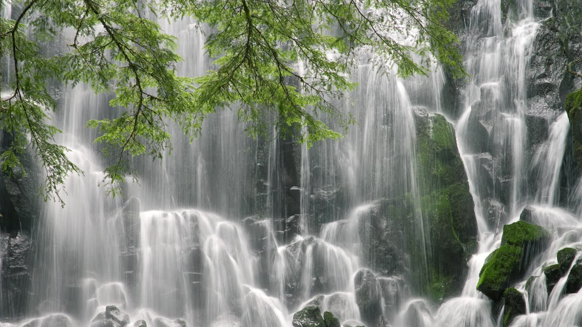 雷火电竞网站-蓝衣军团梦碎美加墨，越南神话从草根到巅峰—2026世界杯决赛的战术革命与凯恩的悲情绝唱